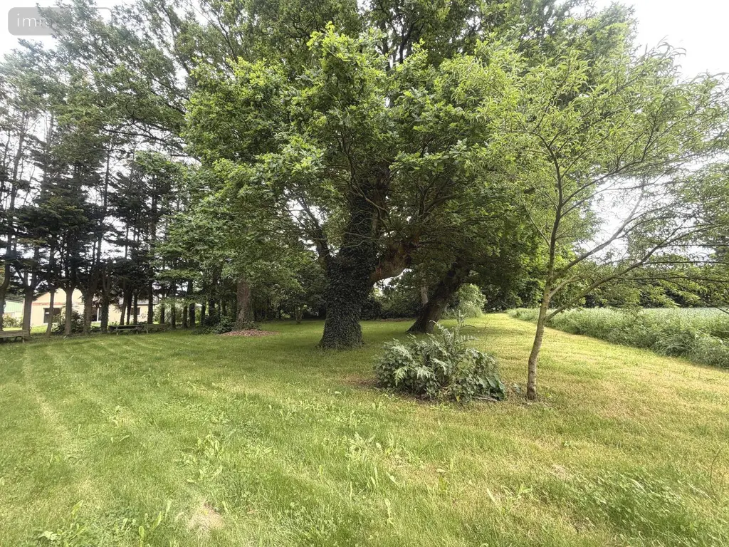 Maison a vendre Guipry-Messac 35480 Ille-et-Vilaine 35 124 m2 6 pièces 295000 euros 78/739-35078 016