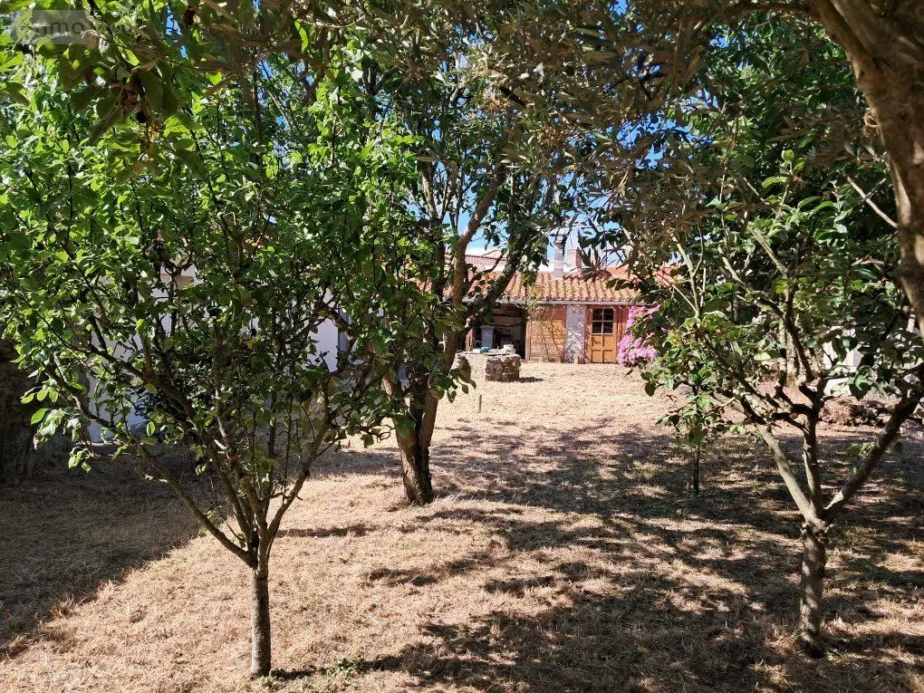 Maison a vendre Bouin 85230 Vendée 85 75 m2 4 pièces 183250 euros 999/M/2318-85092 005