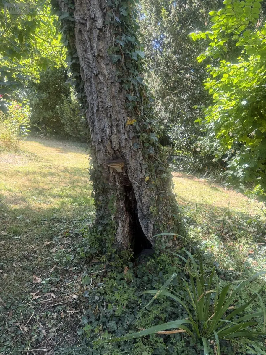 Maison a vendre Guipry-Messac 35480 Ille-et-Vilaine 35 100 m2 5 pièces 212000 euros 78/742-35078 014