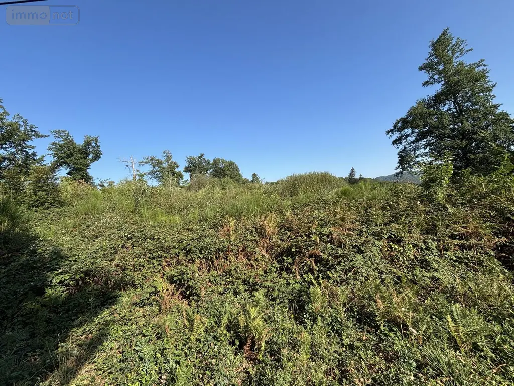 Terrain a batir a vendre Champagnac 15350 Cantal 15 10720 euros 125T-15029 003