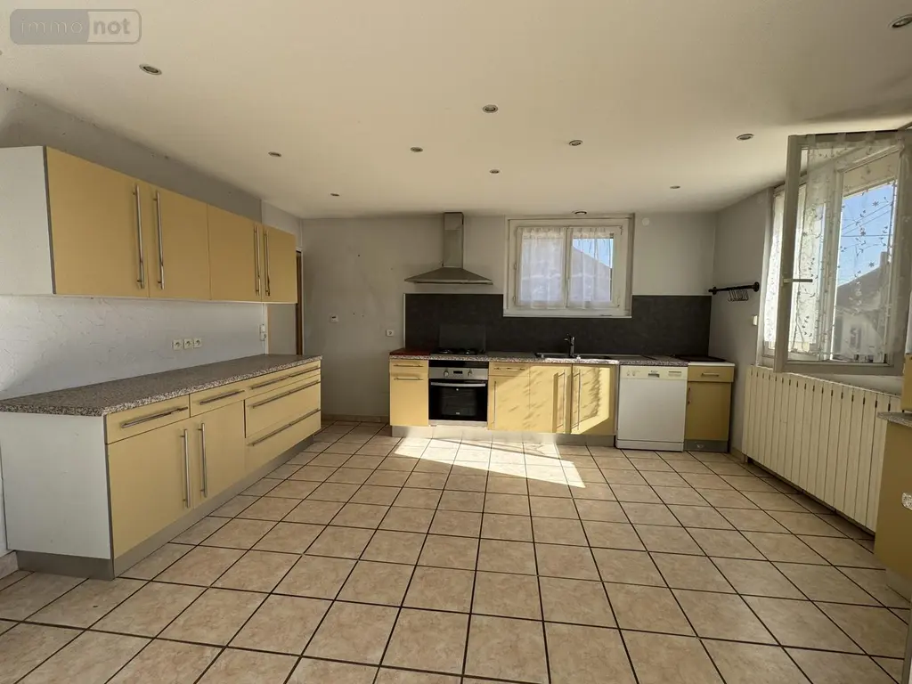 Maison a vendre Chaussin 39120 Jura 39 255 m2 10 pièces 219000 euros VM3642-39032 003