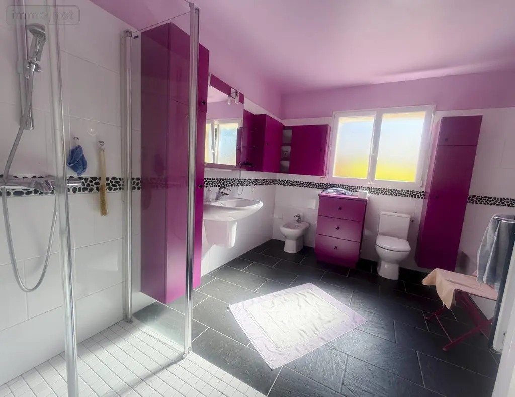 Maison a vendre Guipry-Messac 35480 Ille-et-Vilaine 35 155 m2 6 pièces 331200 euros 78/744-35078 007