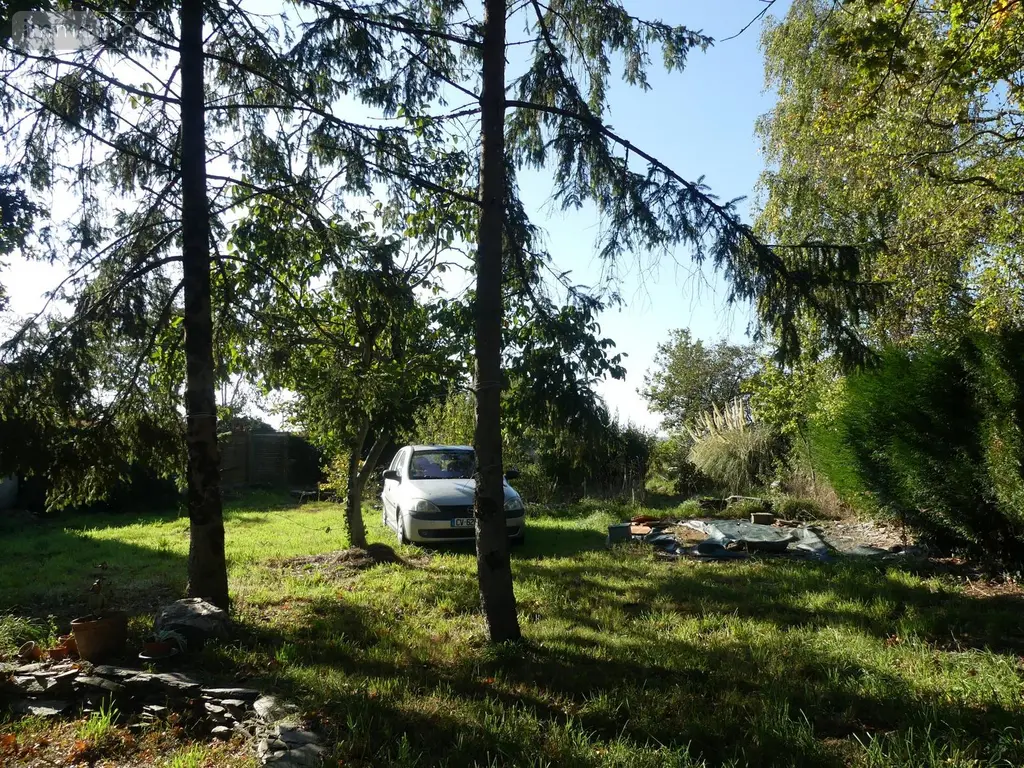 Maison a vendre Avessac 44460 Loire-Atlantique 44 28 m2 2 pièces 29800 euros 35066-938-35066 006