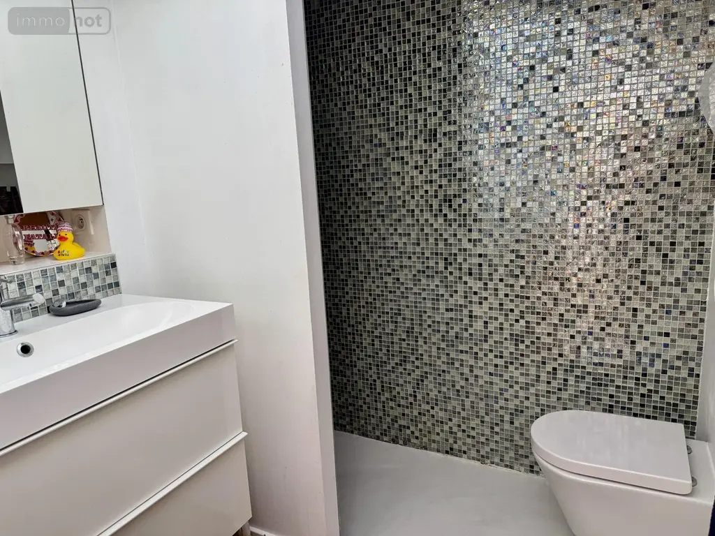 Maison a vendre Lille 59000 Nord 59 216 m2 6 pièces 1185000 euros VM3160-59019 021
