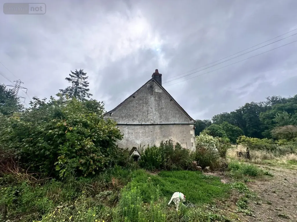 Maison a vendre Rivarennes 37190 Indre-et-Loire 37 100 m2 4 pièces 151200 euros 37072-655 004