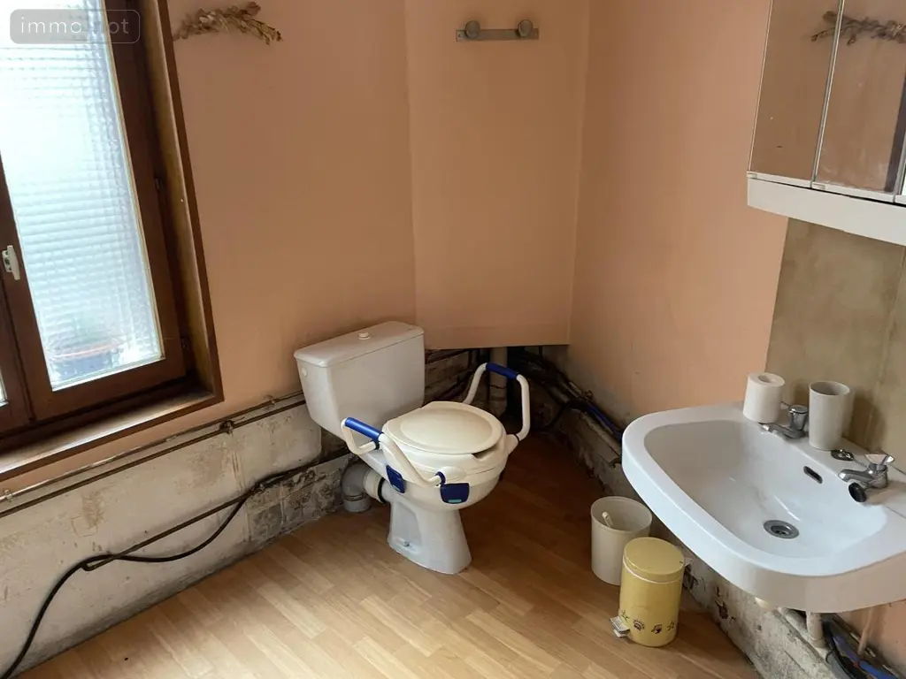Viager maison Solesmes 59730 Nord 59 160 m2 9 pièces 40000 euros 59191-5587 019