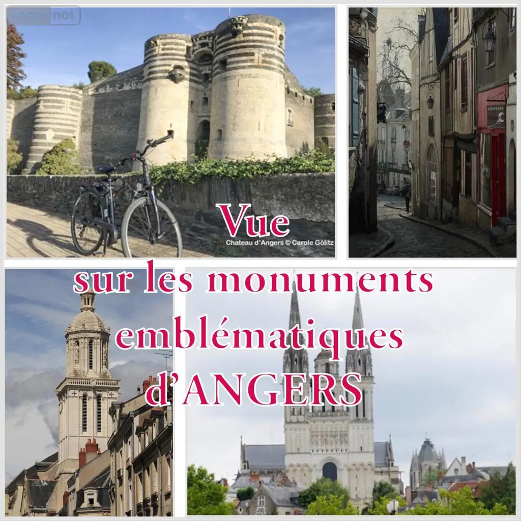 Appartement a vendre Angers 49000 Maine-et-Loire 49 77 m2 3 pièces 288370 euros 49014-1789 001