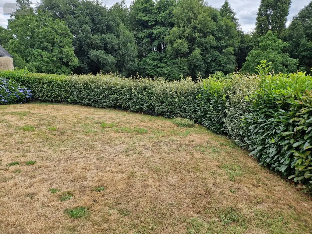 Maison a vendre Plumelec 56420 Morbihan 56 85 m2 4 pièces 182350 euros 56050-668 002