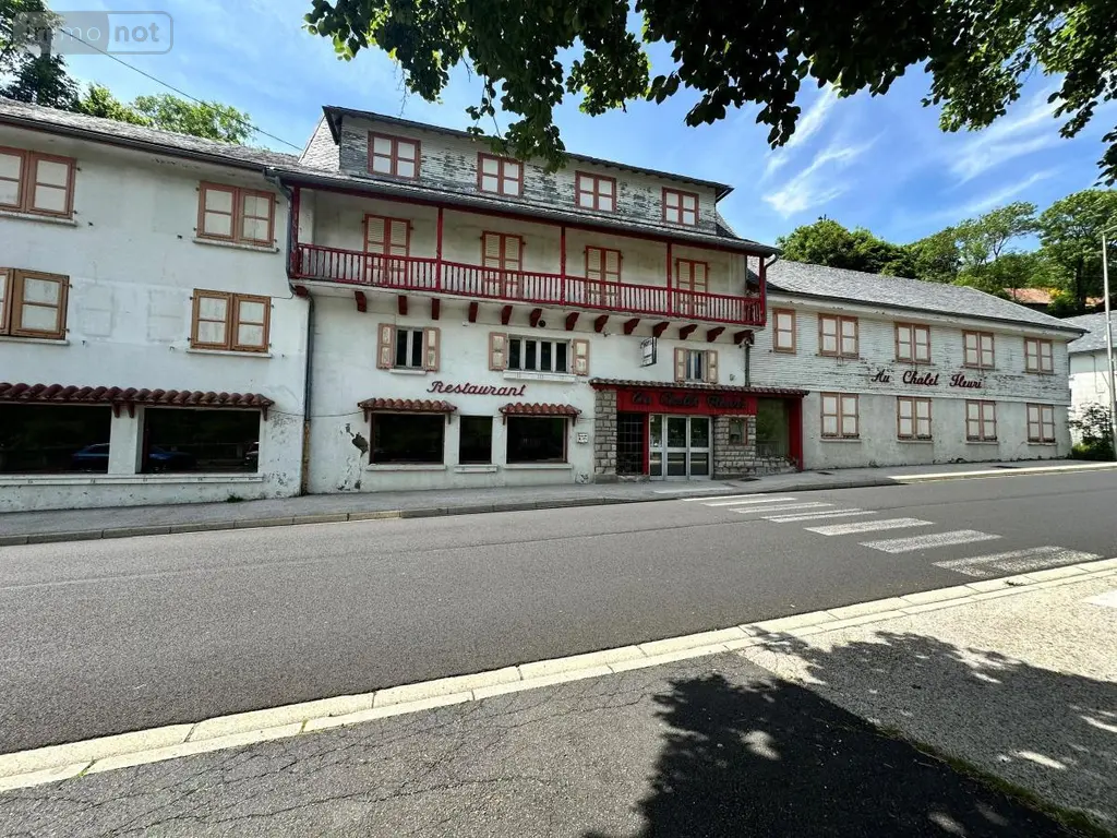 Fonds et murs commerciaux a vendre Saint-Jacques-des-Blats 15800 Cantal 15 700 m2 95400 euros 15046-16 002