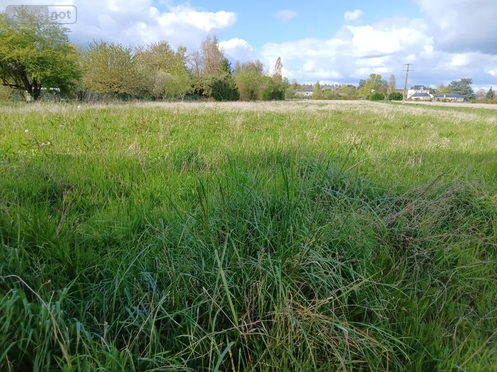 Terrain a batir a vendre Corné 49630 Maine-et-Loire 49 136150 euros 49039-1106 002