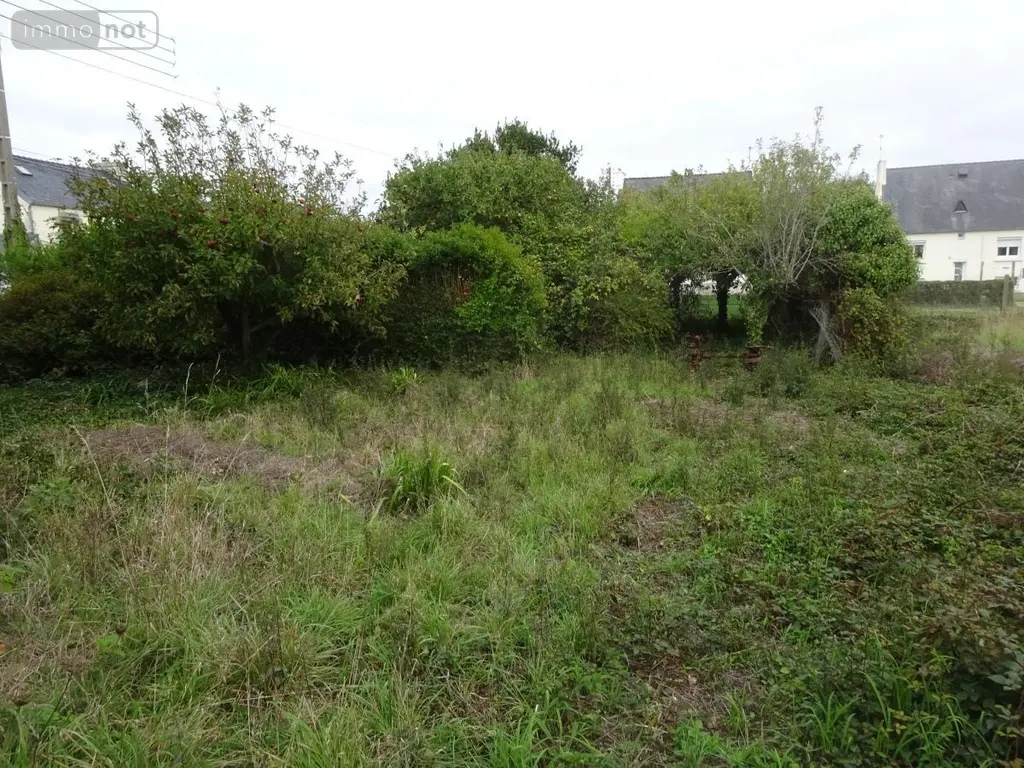 Terrain a batir a vendre Lampaul-Plouarzel 29810 Finistère 29 84080 euros 29058-1778 002