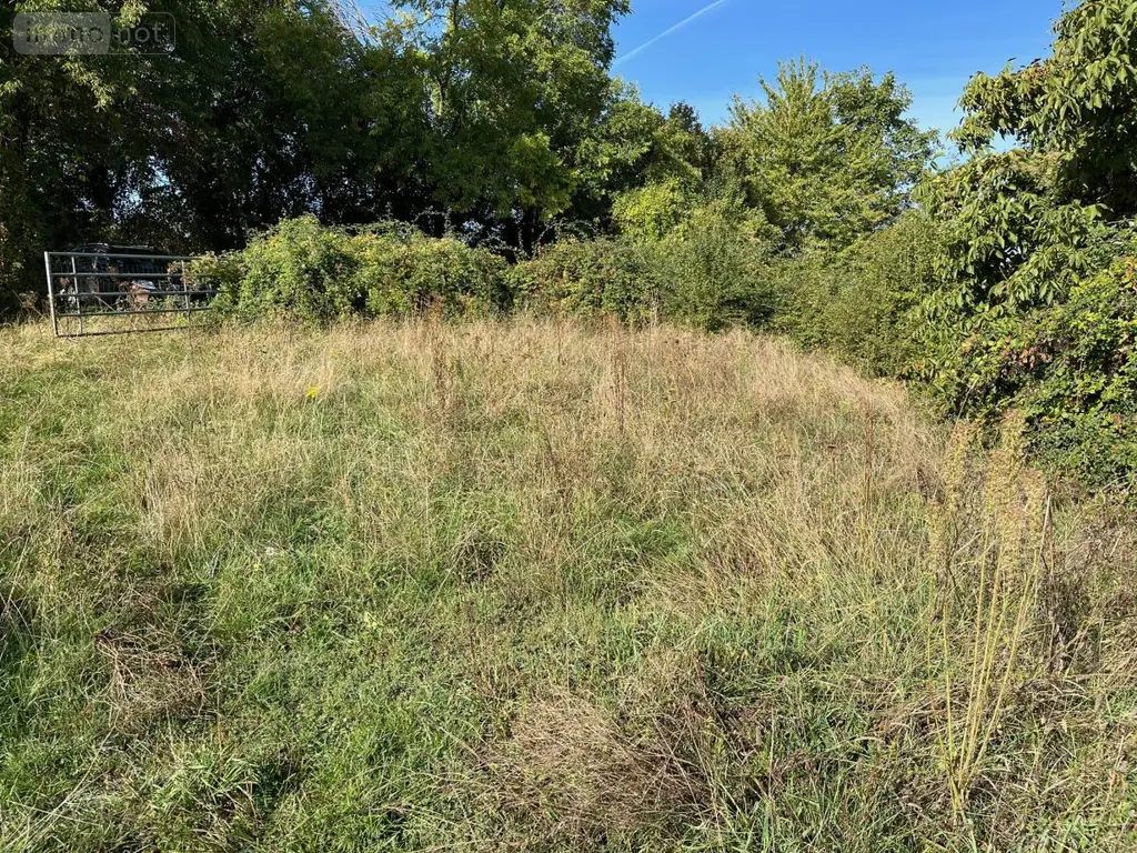 Terrains de loisirs bois etangs a vendre Ballon-Saint Mars 72290 Sarthe 72 10000 euros 72126-3247 007