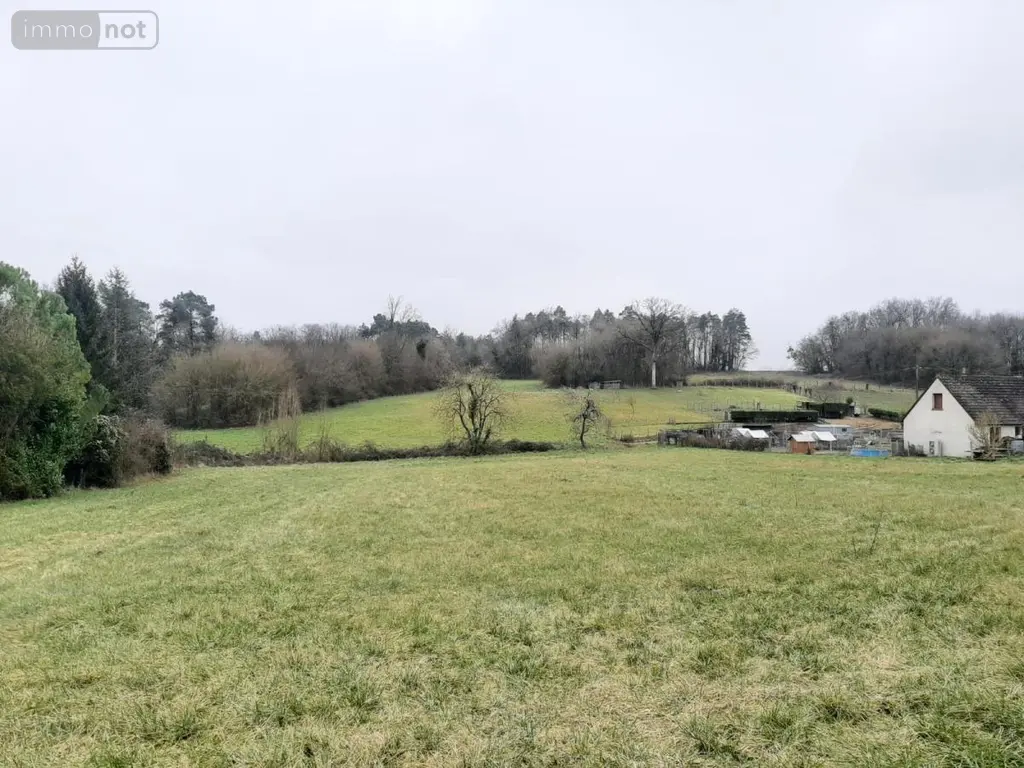Terrain a batir a vendre Neuil 37190 Indre-et-Loire 37 131400 euros 37072-640 004
