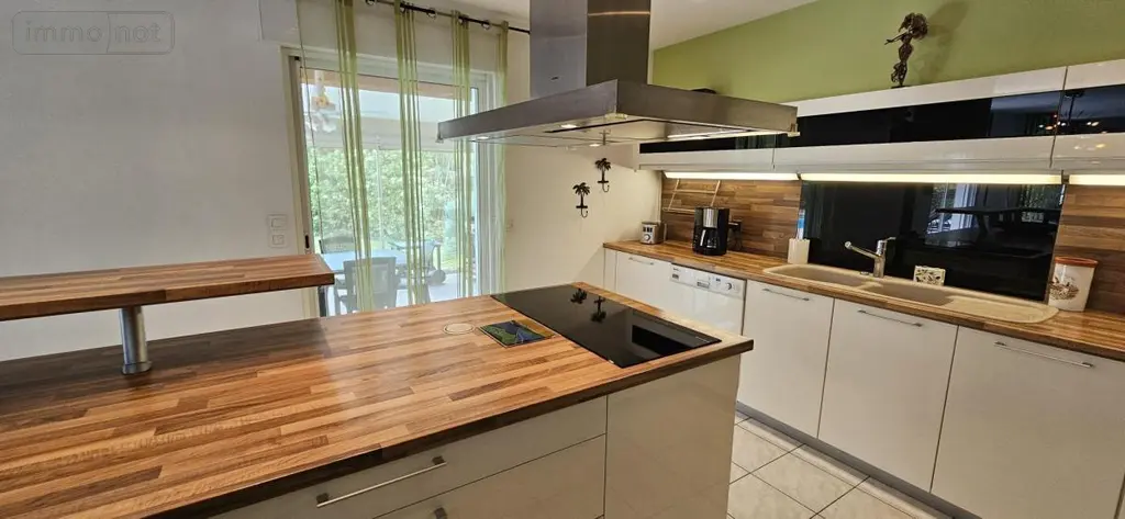 Maison a vendre Saint-Clément-de-Rivière 34980 Hérault 34 240 m2 7 pièces 975000 euros 34019-479 008