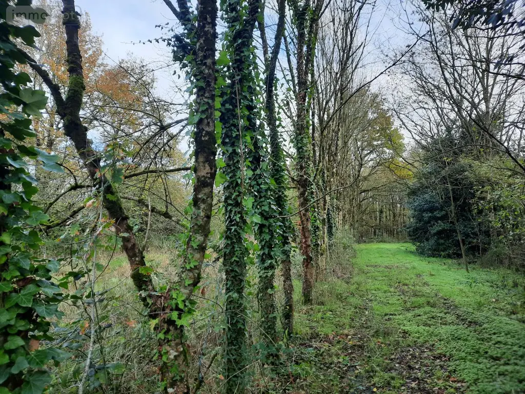 Terrains de loisirs bois etangs a vendre Aizenay 85190 Vendée 85 41280 euros 85091-5199 003