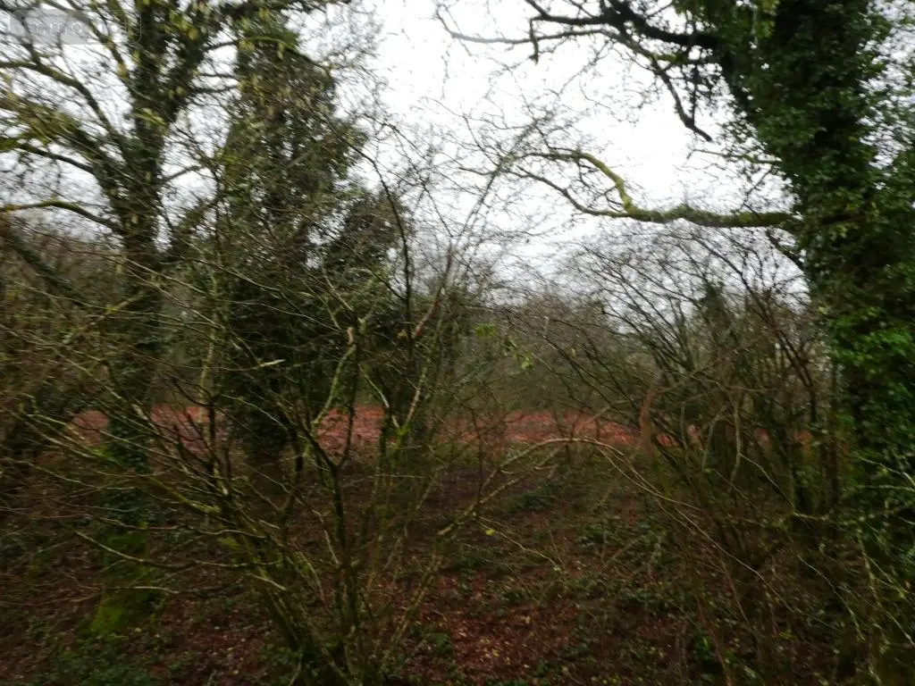 Terrains de loisirs bois etangs a vendre Saint-Tugdual 56540 Morbihan 56 10600 euros 56075-2343 002