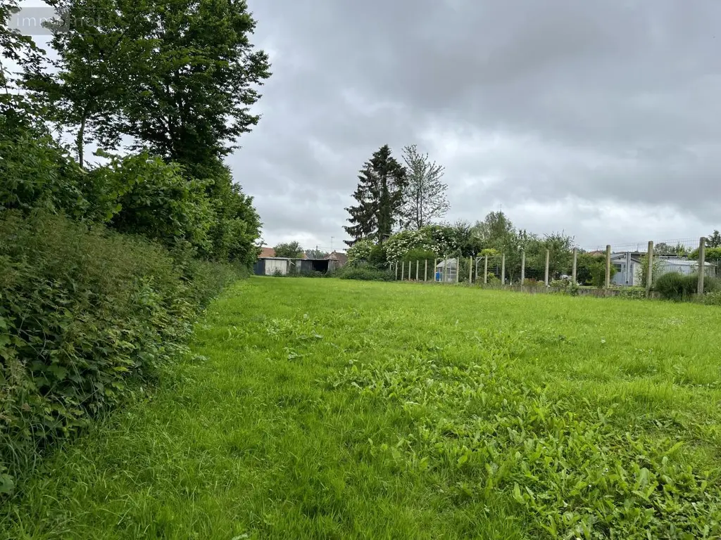 Terrain a batir a vendre Courcelles-le-Comte 62121 Pas-de-Calais 62 44800 euros 62135-1966 001