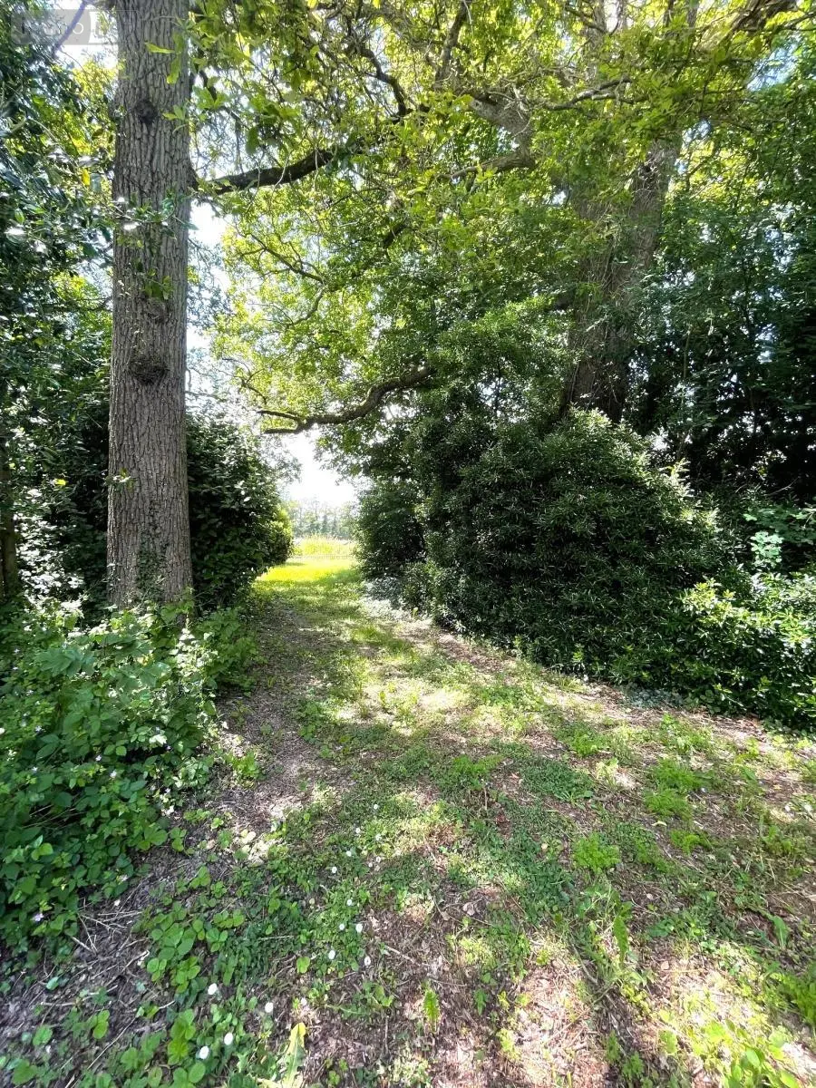 Maison a vendre Angers 49100 Maine-et-Loire 49 585 m2 14 pièces 859360 euros 49012-2066 003