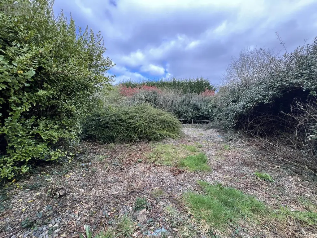Maison a vendre Lanrelas 22250 Côtes-d'Armor 22 122 m2 5 pièces 122440 euros 22044-3686 013