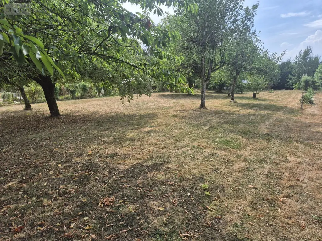 Terrain a batir a vendre Ougney 39350 Jura 39 44000 euros 25012-954 002