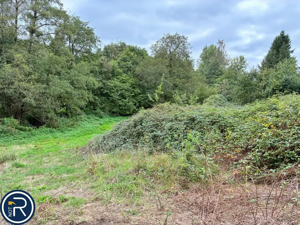 Terrains de loisirs bois etangs a vendre Montaudin 53220 Mayenne 53 13500 euros 53004-1253 013