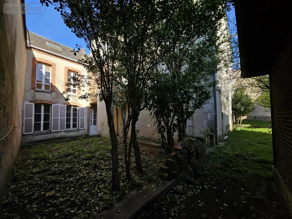 Immeuble de rapport a vendre Montargis 45200 Loiret 45 556 m2 385000 euros 45051-498 010