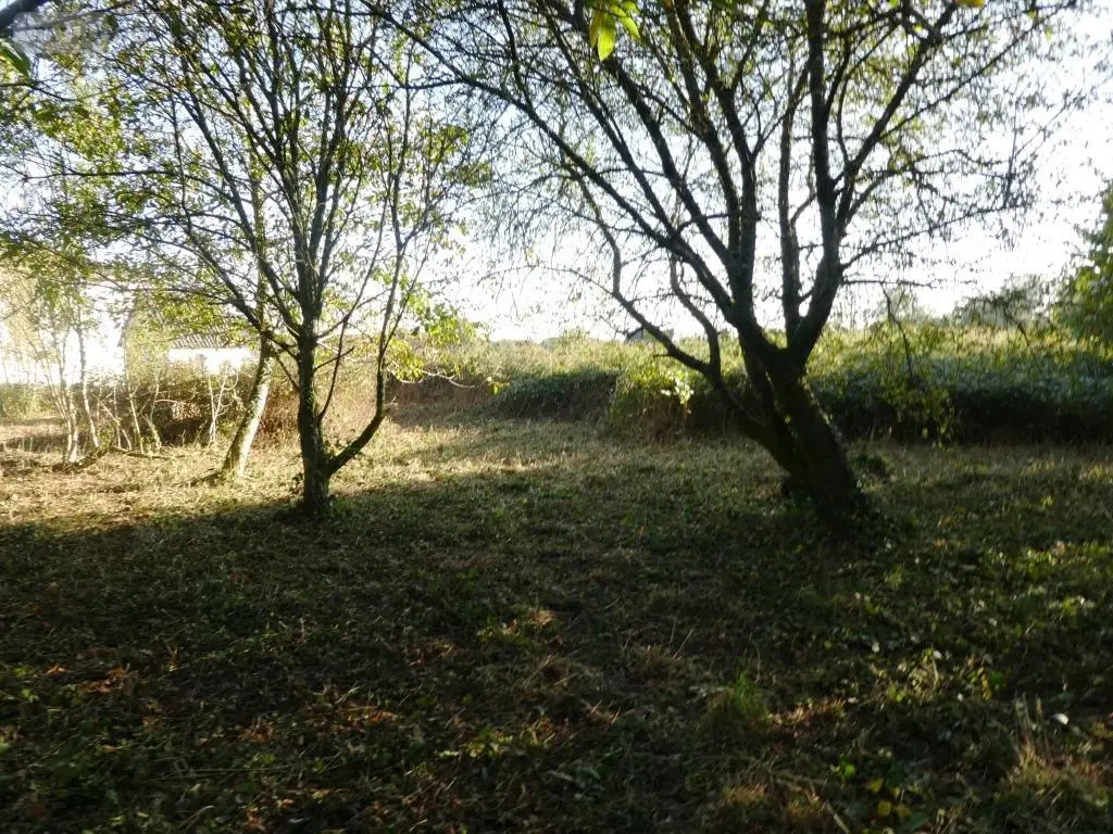 Terrain a batir a vendre Saint-Caradec-Trégomel 56540 Morbihan 56 12790 euros 56075-2433 005