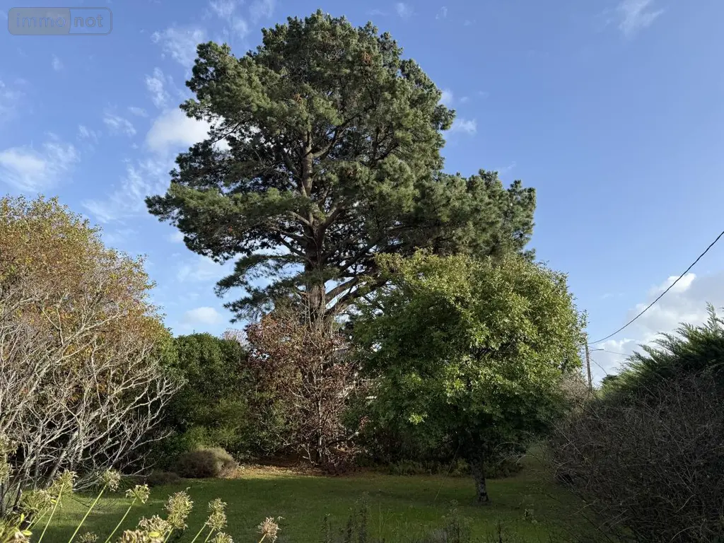 Maison a vendre Arzon 56640 Morbihan 56 126 m2 675675 euros 56084-500 004