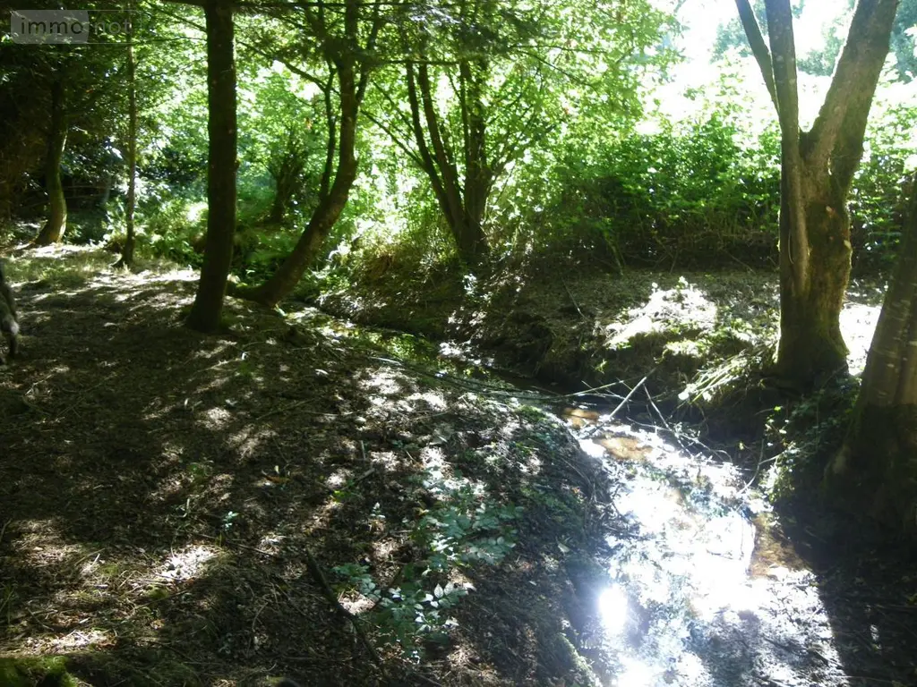 Maison a vendre Silfiac 56480 Morbihan 56 227 m2 471510 euros 56075-2245 009