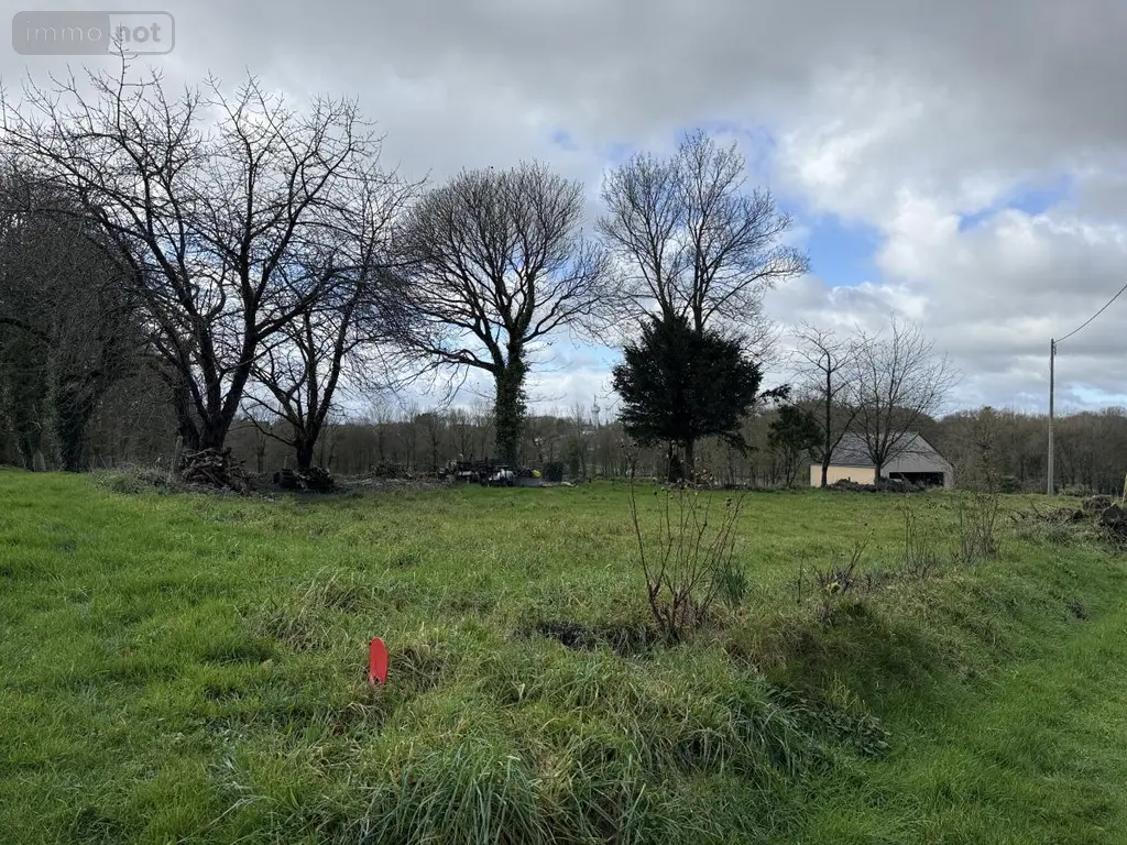 Terrain a batir a vendre Merdrignac 22230 Côtes-d'Armor 22 29800 euros 22115-3510 002