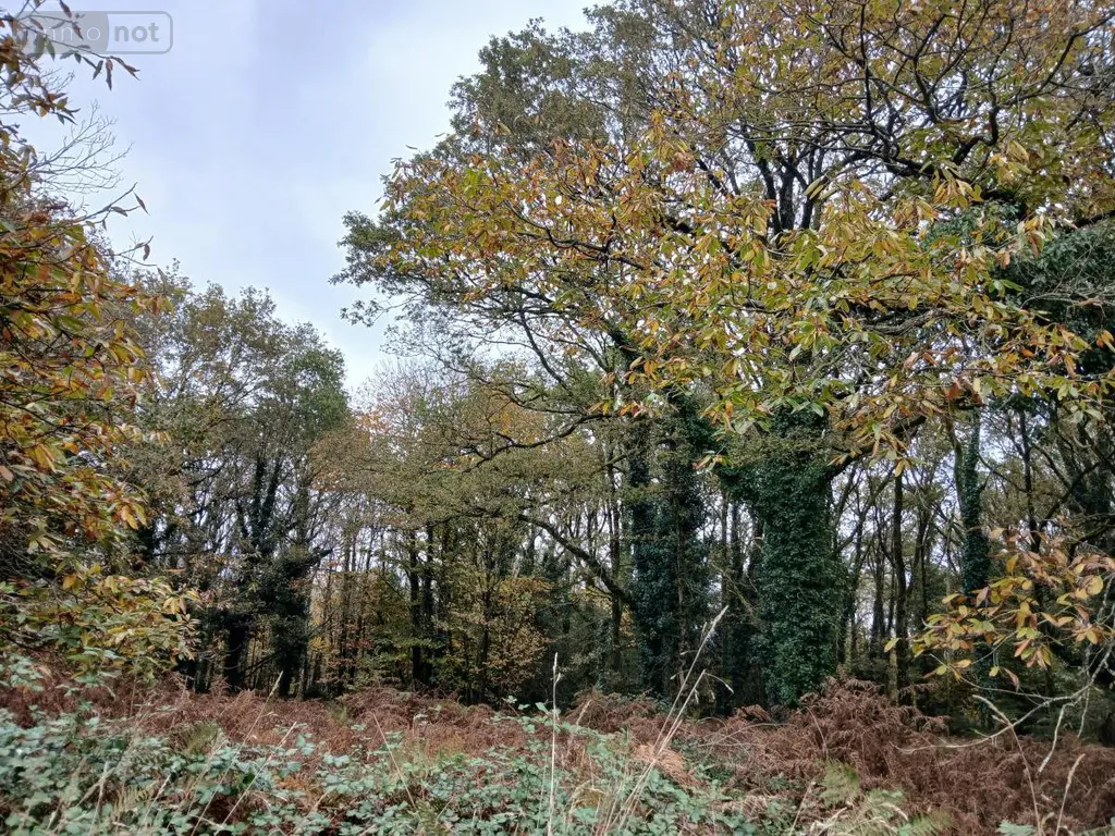 Terrains de loisirs bois etangs a vendre Allaire 56350 Morbihan 56 7500 euros 56084-354 001