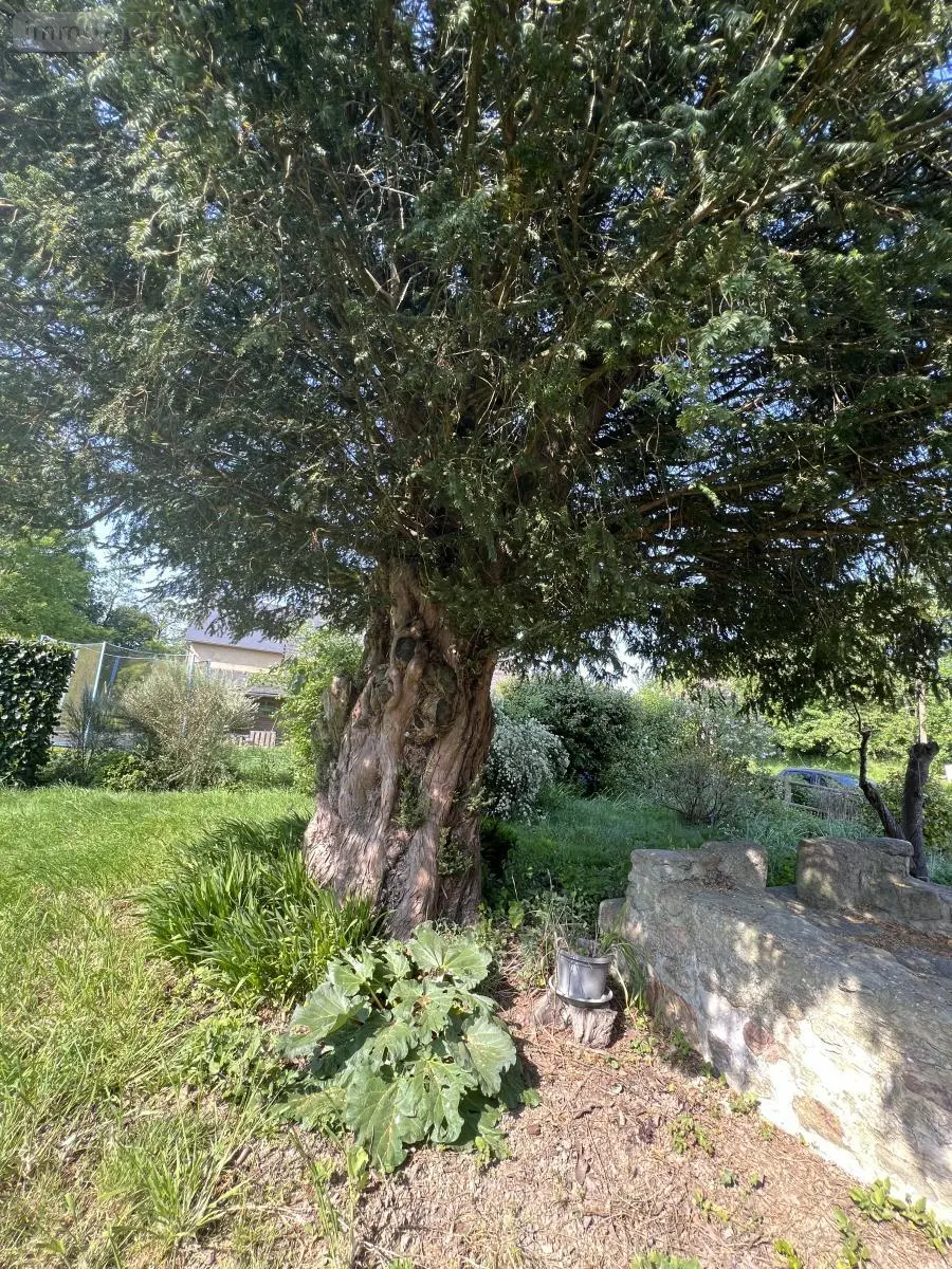 Maison a vendre Plumaudan 22350 Côtes-d'Armor 22 92 m2 4 pièces 211190 euros 22044-3864 023