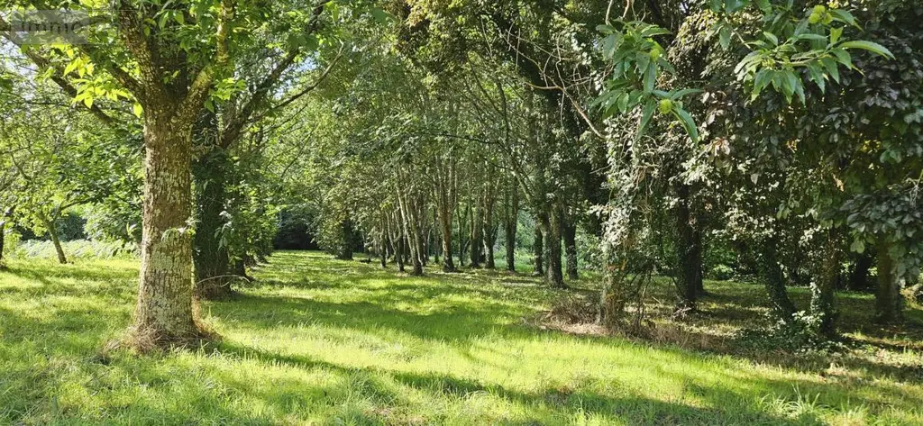 Immeuble de rapport a vendre Tréméoc 29120 Finistère 29 150 m2 367500 euros 29152-119 026
