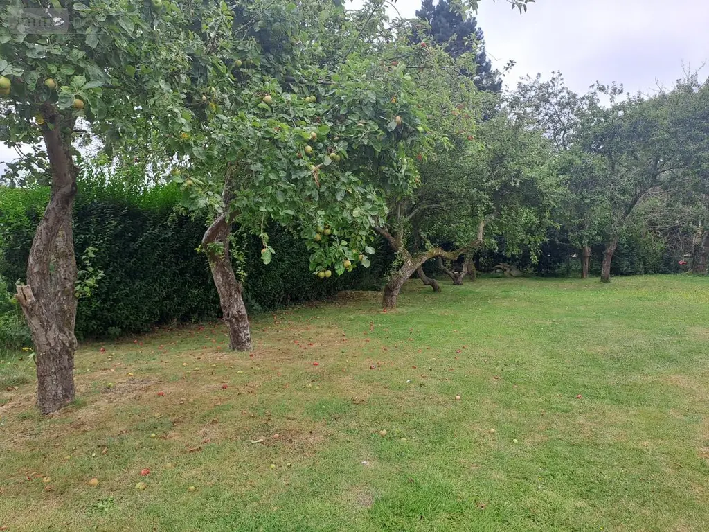 Maison a vendre Nordausques 62890 Pas-de-Calais 62 117 m2 6 pièces 239780 euros 62098-2455 005