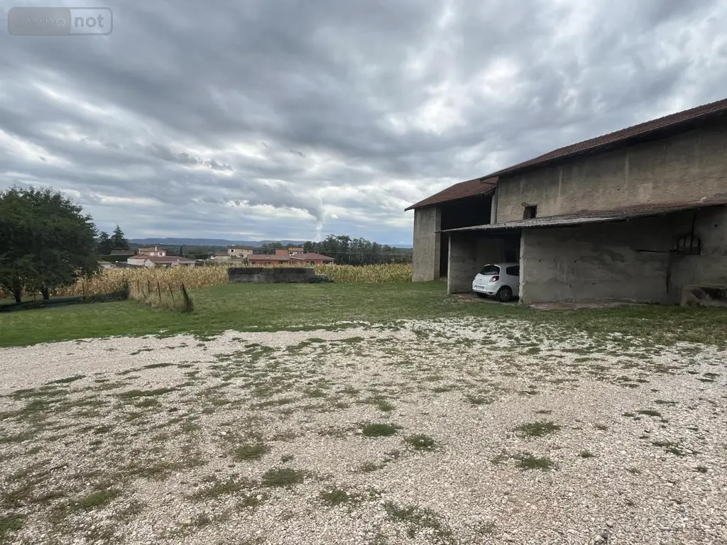 Maison a vendre Villieu-Loyes-Mollon 01800 Ain 01 229 m2 11 pièces 625000 euros 01067-994 006