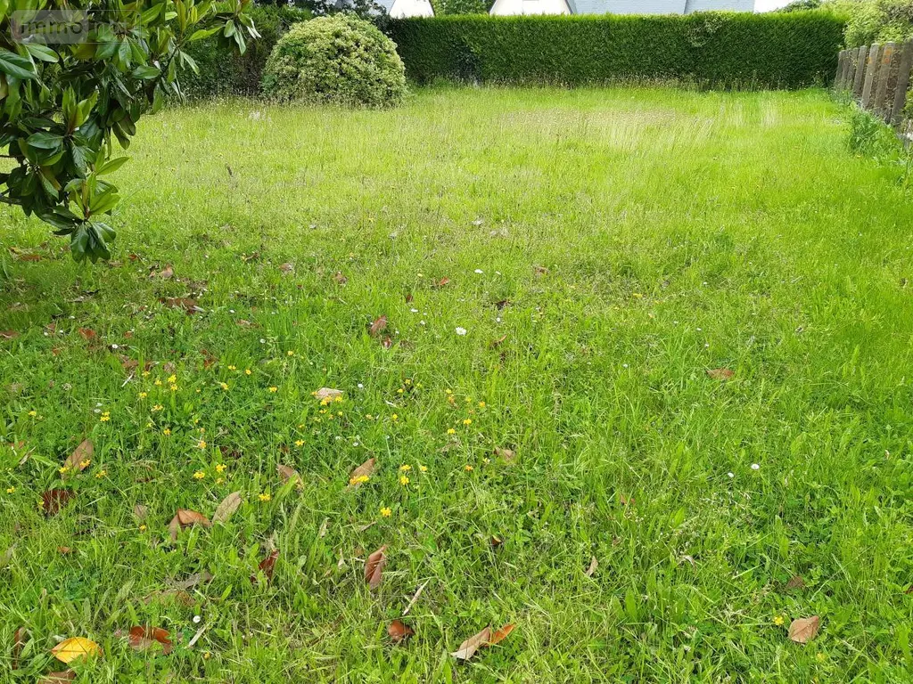 Terrain a batir a vendre Champigné 49330 Maine-et-Loire 49 31800 euros 49096-1339 002