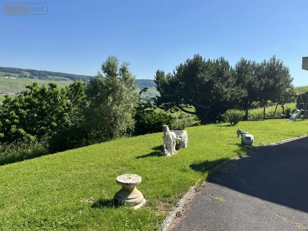 Maison a vendre Œuilly 51480 Marne 51 295 m2 8 pièces 420000 euros 51022-2350 004
