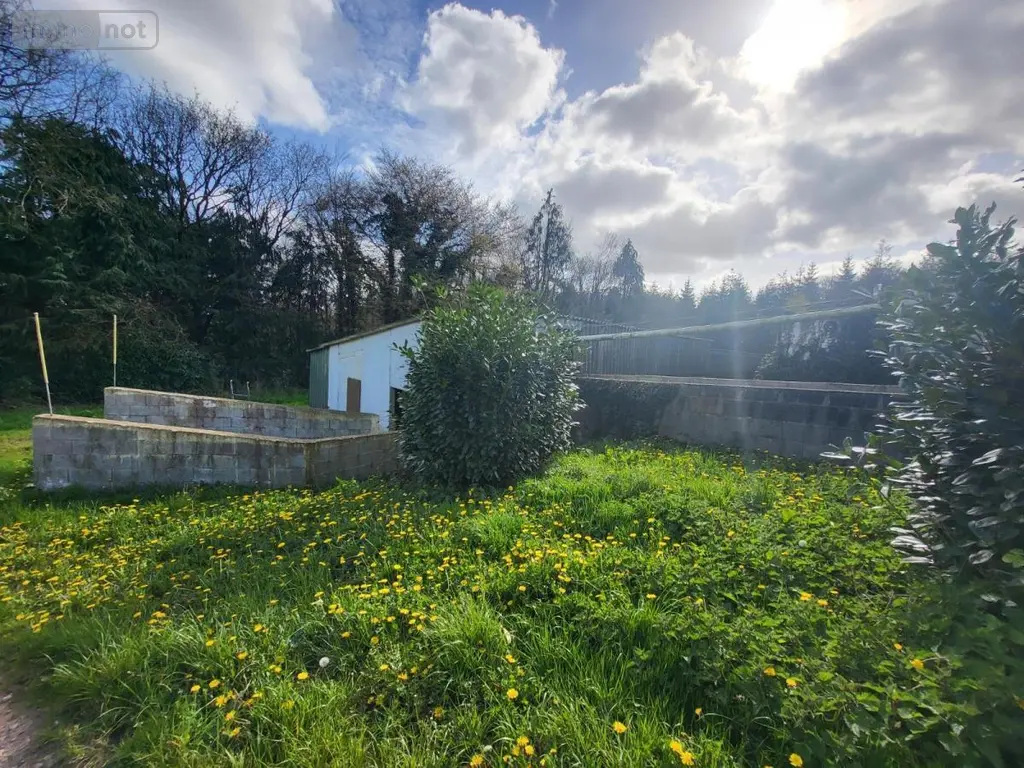 Terrains de loisirs bois etangs a vendre Poullaouen 29246 Finistère 29 157500 euros 29066-3874 003