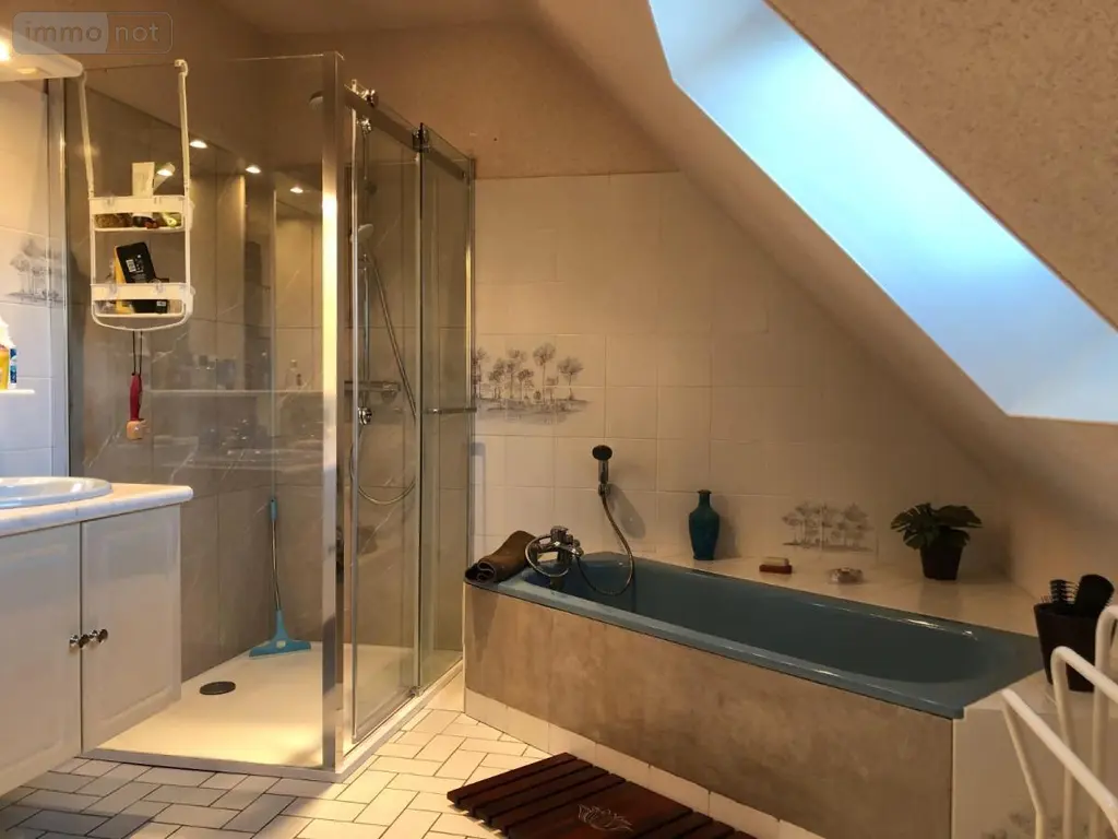 Maison a vendre Châteaugiron 35410 Ille-et-Vilaine 35 160 m2 6 pièces 406146 euros 35024-1197 009