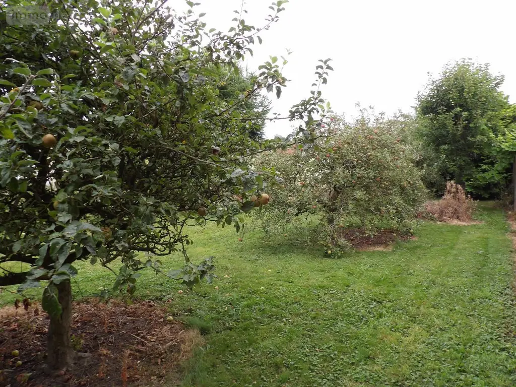 Terrain a batir a vendre Labeuvrière 62122 Pas-de-Calais 62 44500 euros 62023-3668 003
