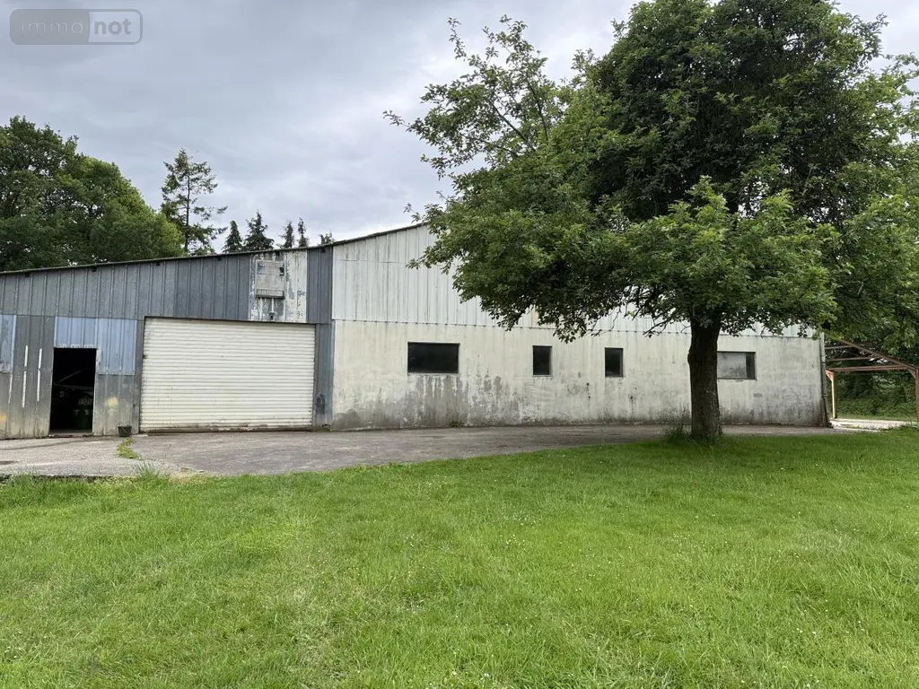 Immeuble de rapport a vendre Ménéac 56490 Morbihan 56 300 m2 74500 euros 22115-3567 001