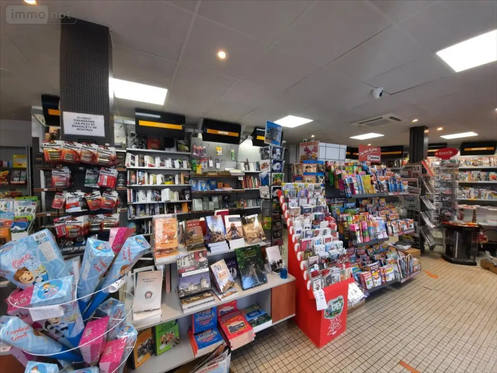 Fonds et murs commerciaux a vendre Chabris 36210 Indre 36 100 m2 1 pièce 490500 euros 021/1368 005