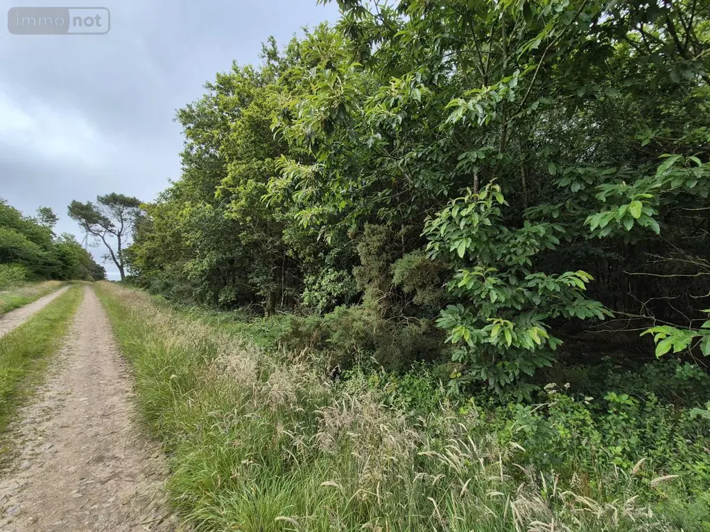 Terrains de loisirs bois etangs a vendre Saint-Servant 56120 Morbihan 56 11000 euros 56049-834 001