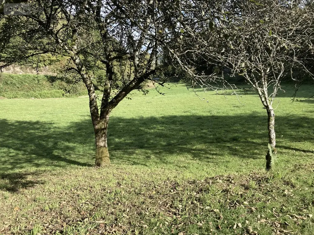 Terrains de loisirs bois etangs a vendre Melrand 56310 Morbihan 56 32400 euros 56064-1447 003