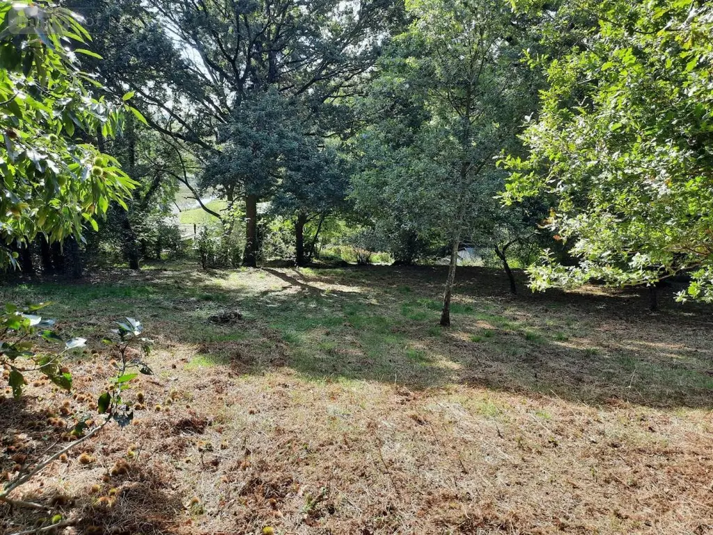 Terrain a batir a vendre Taupont 56800 Morbihan 56 43600 euros 56044-1478 003