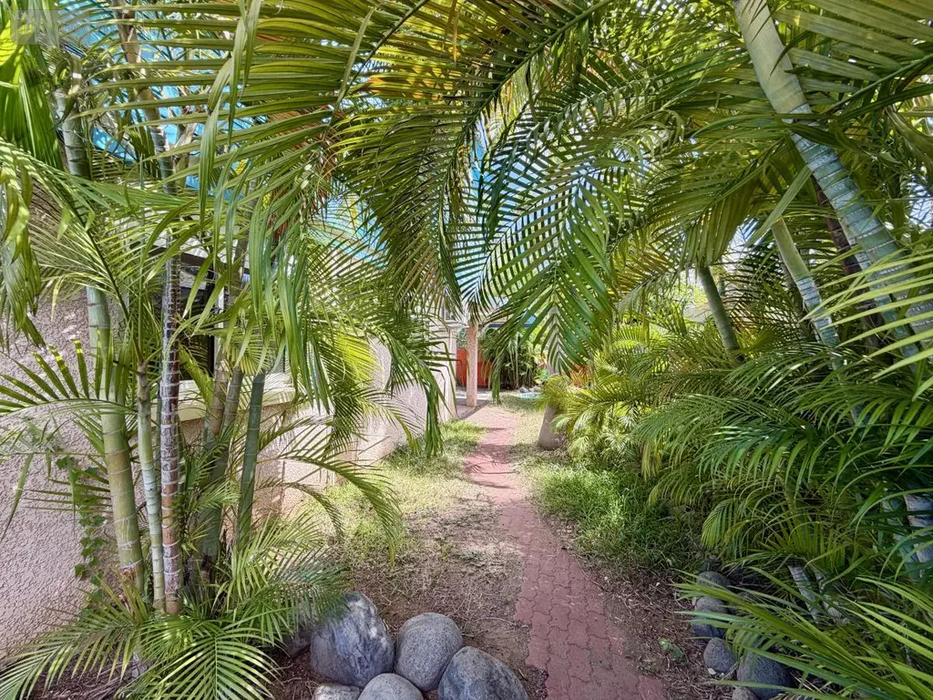 Maison a vendre Saint-Paul 97460 La Réunion 974 83 m2 4 pièces 595650 euros 97409-360 012