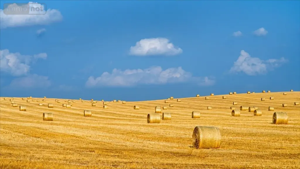 Bien agricole a vendre Charenton-du-Cher 18210 Cher 18 7100000 euros 021/1402 002