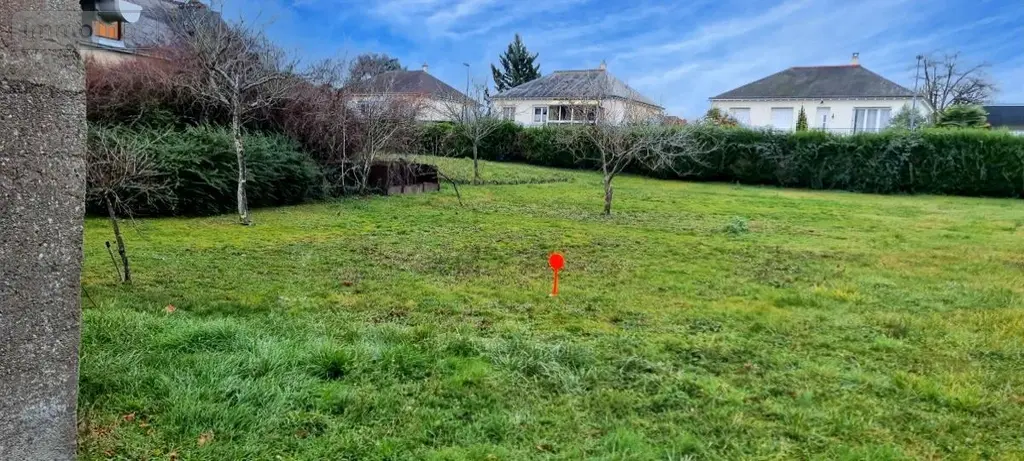 Terrain a batir a vendre Notre-Dame-d'Oé 37390 Indre-et-Loire 37 124950 euros 37007-2759 002