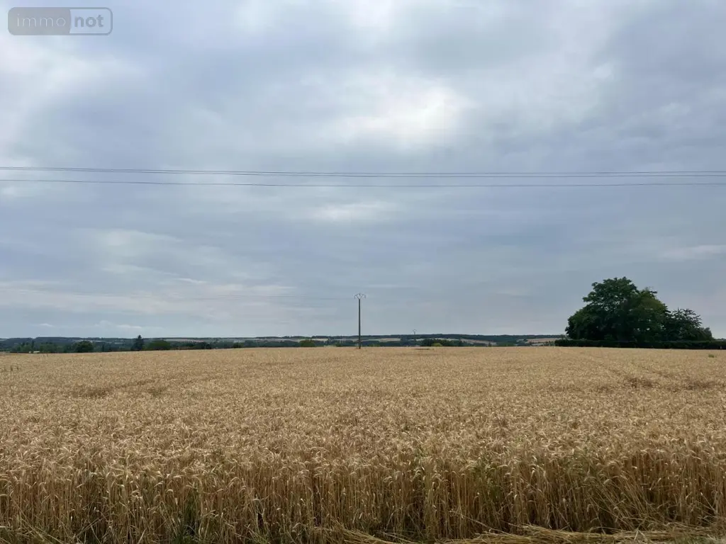 Terrain a batir a vendre Trogues 37220 Indre-et-Loire 37 62600 euros 37060-2367 003