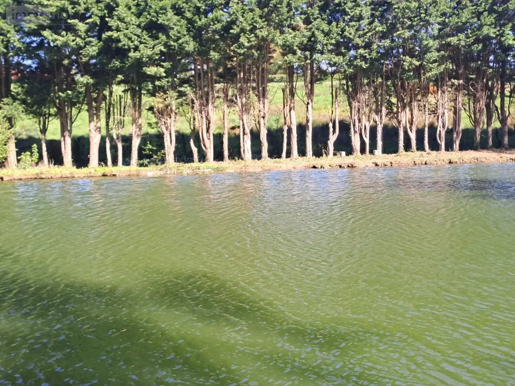 Maison a vendre Brunembert 62240 Pas-de-Calais 62 177 m2 13 pièces 483240 euros 62098-2441 012